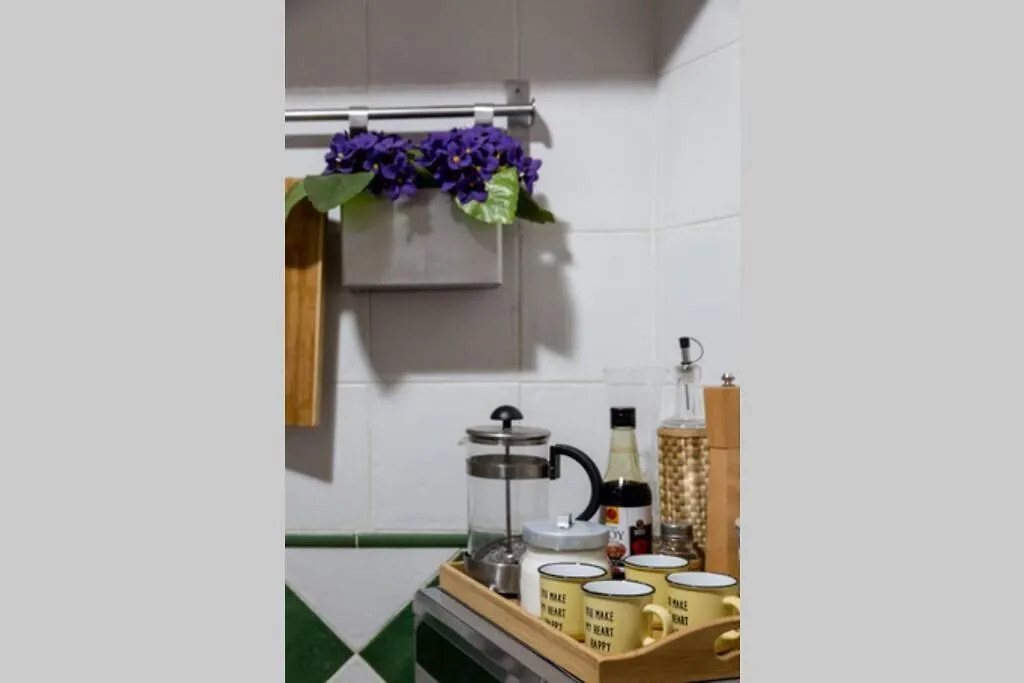 Pretty Duplex In Bohemian District-City Center Apartment Seville Spain