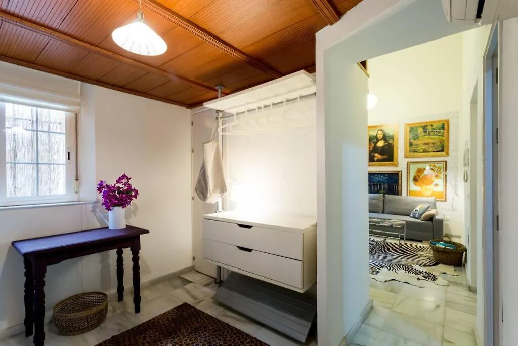 Pretty Duplex In Bohemian District-City Center Apartment Seville Spain